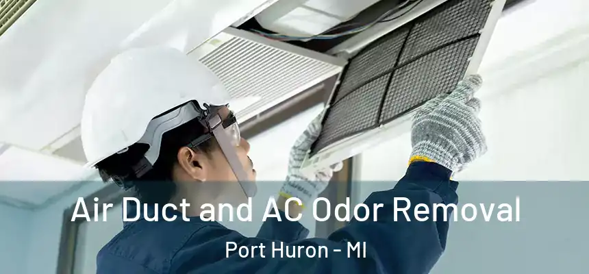 Air Duct and AC Odor Removal Port Huron - MI