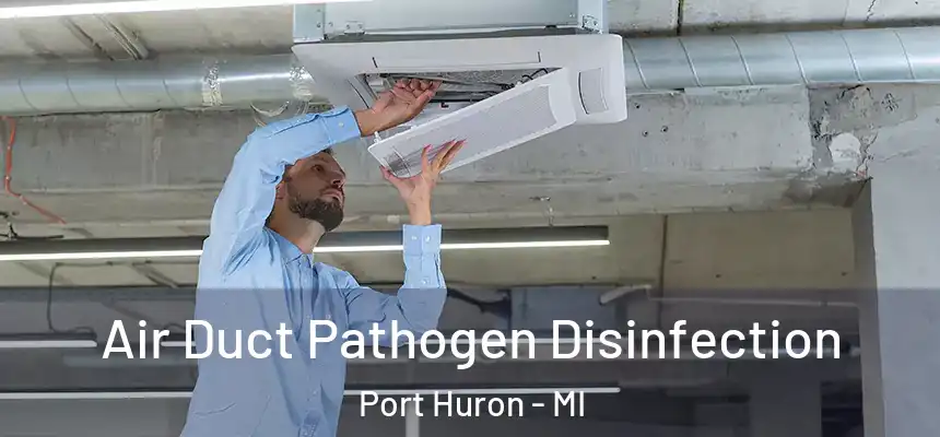 Air Duct Pathogen Disinfection Port Huron - MI
