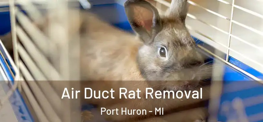 Air Duct Rat Removal Port Huron - MI