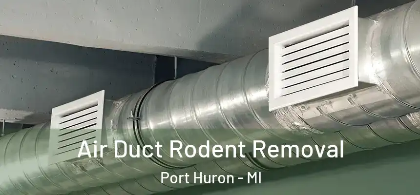 Air Duct Rodent Removal Port Huron - MI
