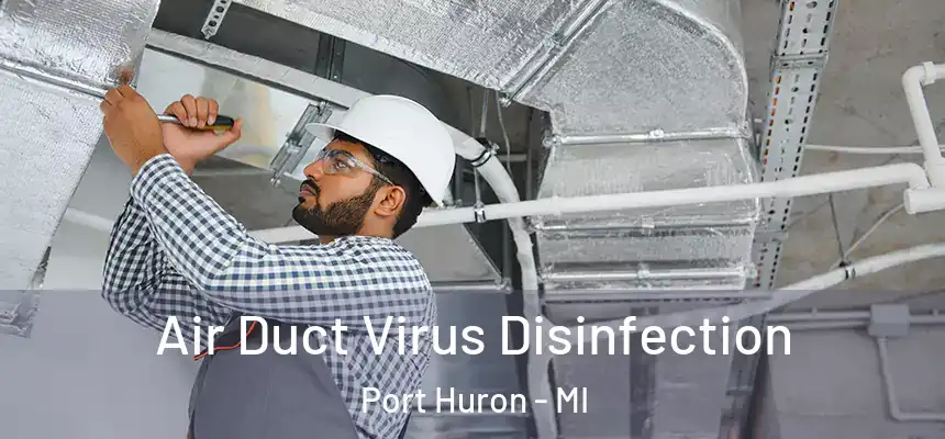 Air Duct Virus Disinfection Port Huron - MI