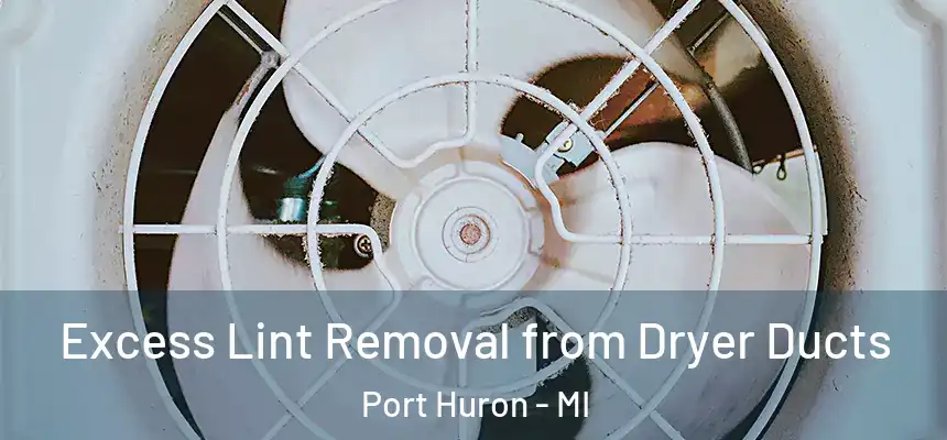 Excess Lint Removal from Dryer Ducts Port Huron - MI