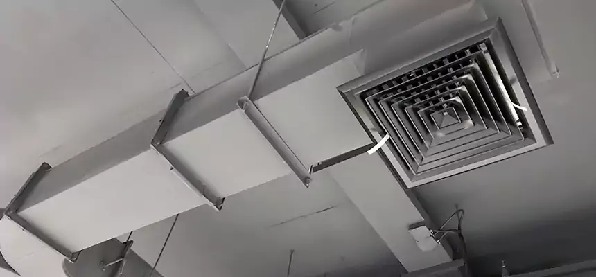 Restorative Allergy Relief Vent Cleaning – Coil, Blower & Housing Detail in Port Huron