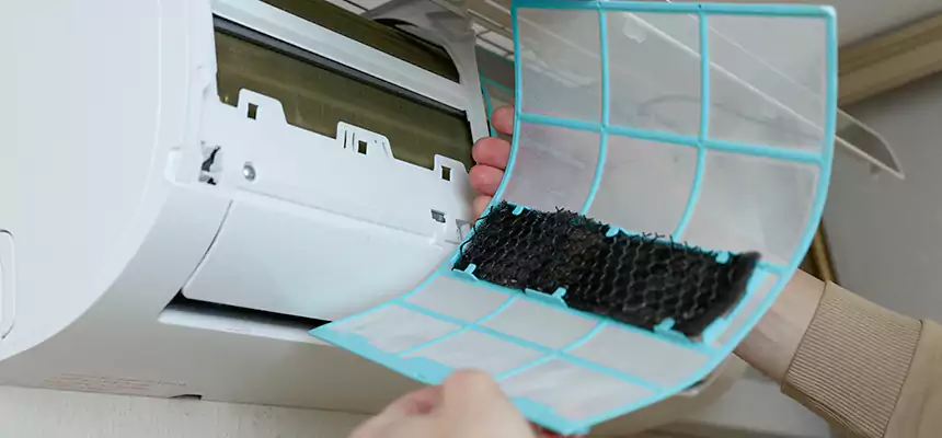 Gentle Ductwork Odor-Control Pet Dander Duct Cleaning in Port Huron, MI