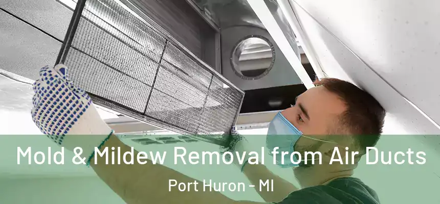Mold & Mildew Removal from Air Ducts Port Huron - MI