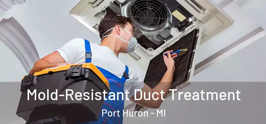 Mold-Resistant Duct Treatment Port Huron - MI