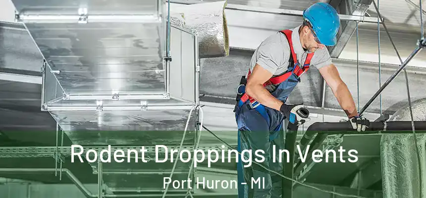  Rodent Droppings In Vents Port Huron - MI