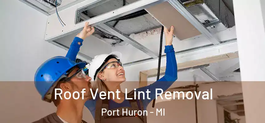 Roof Vent Lint Removal Port Huron - MI