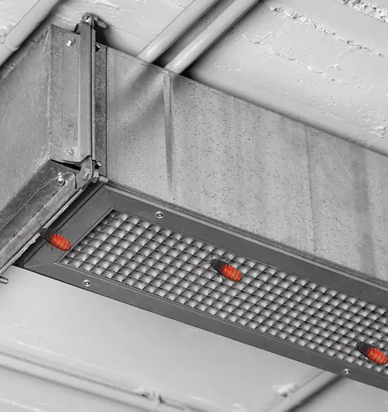 About Air Duct Cockroach Removal in Port Huron, MI