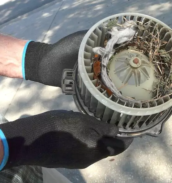 About Air Duct Mice Removal in Port Huron, MI