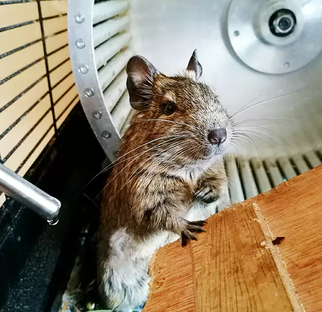 Why Homeowners & Businesses Trust Us Port Huron, MI