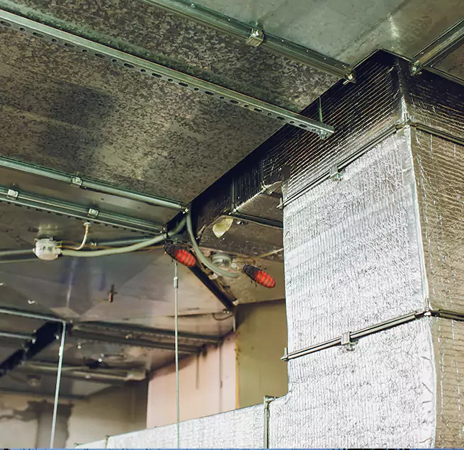 Why Homeowners & Businesses Trust Us Port Huron, MI?