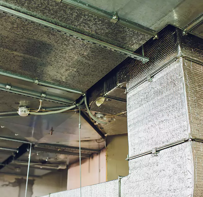 Why Homeowners & Businesses Trust Us in Port Huron, MI?